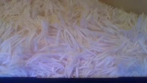 prettybaby1012 online show from 20, 9, 2025