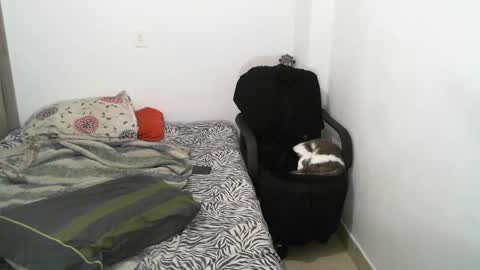 Lucky online show from 7, 3, 2025