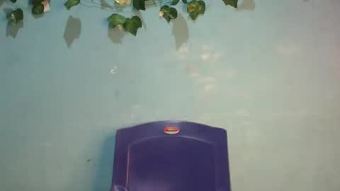 Gloria online show from 17, 11, 2025