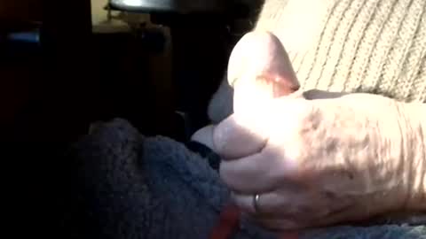 Snapshot of luckypirateboy chatting on 8, 3, 2026 BIG Daddy cock. Tips make it harder online show from 8, 3, 2026