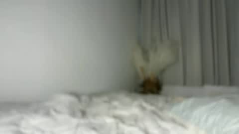 Snapshot of lucyforr chatting on 1, 8, 2026 lucyforr online show from 1, 8, 2026