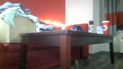 Lucy Loves Lookers online show from 15, 1, 2025