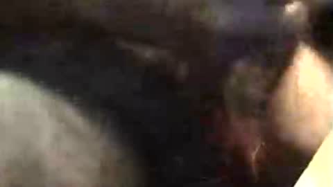 lukestarfckr online show from 18, 11, 2025