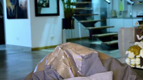 Lukhas f4f online show from 9, 2, 2025