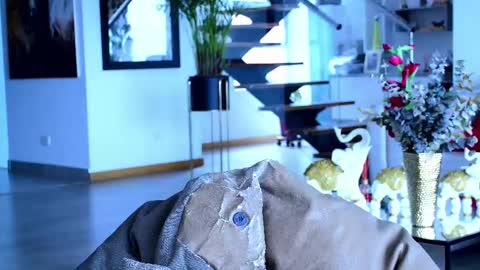 Lukhas f4f online show from 26, 2, 2025