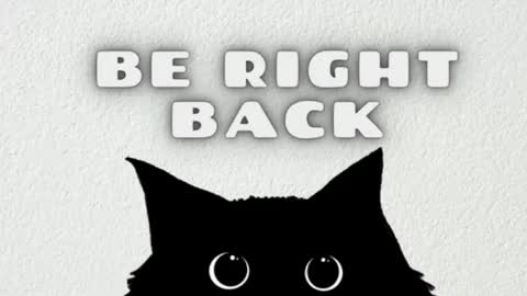 elizabeth online show from 12, 5, 2026