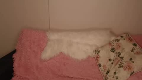 Luna online show from 20, 12, 2025