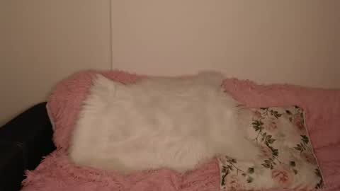 Luna online show from 13, 2, 2026