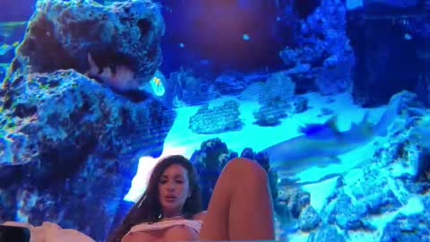 LunaBex online show from 18, 2, 2026