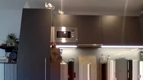 Snapshot of lupine_666 chatting on 12, 12, 2024 Lupine online show from 12, 12, 2024