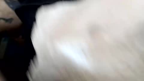 lust_khali online show from 1, 2, 2026