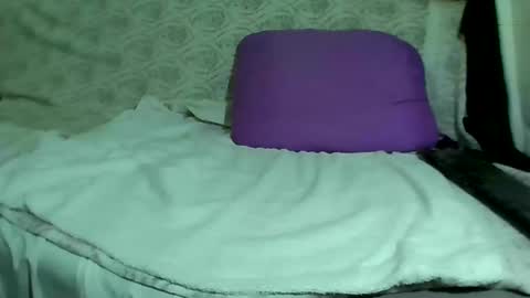 Bee Bee online show from 6, 3, 2025