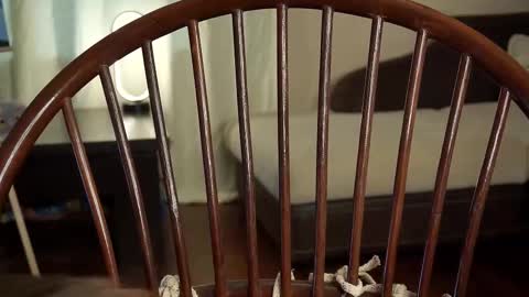 hi im Lyle online show from 27, 2, 2025