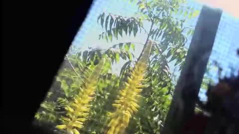 SLoppYxXPeeHoLeXxGspotxX online show from 22, 2, 2026