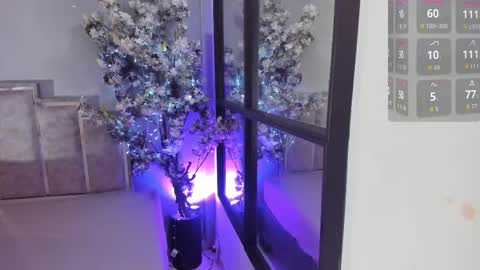 Maraacooper online show from 4, 11, 2025