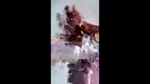 maciasbraulio846 online show from 7, 2, 2026