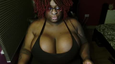 Echidna online show from 26, 11, 2025