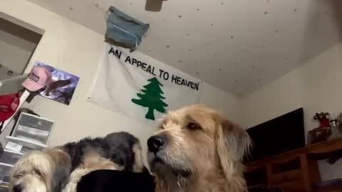 SummerPeach online show from 6, 12, 2024