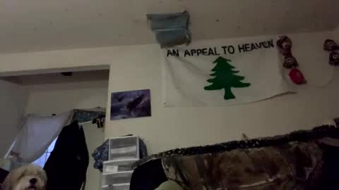 SummerPeach online show from 16, 12, 2024