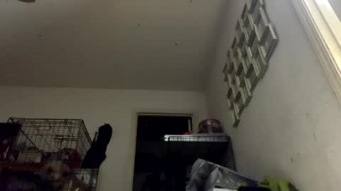 SummerPeach online show from 11, 1, 2025