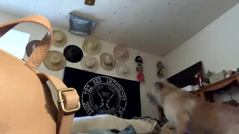 SummerPeach online show from 19, 1, 2025