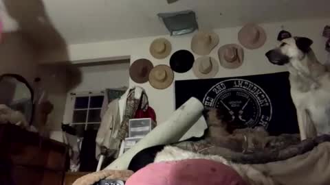 SummerPeach online show from 28, 1, 2025