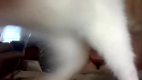 SummerPeach online show from 1, 2, 2025