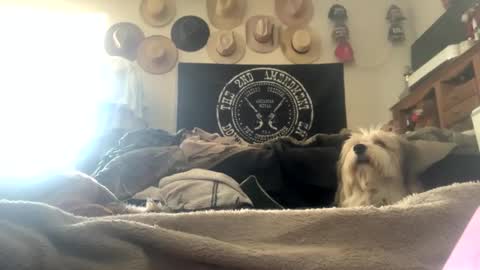 SummerPeach online show from 3, 2, 2025