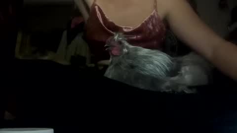 SummerPeach online show from 5, 2, 2025