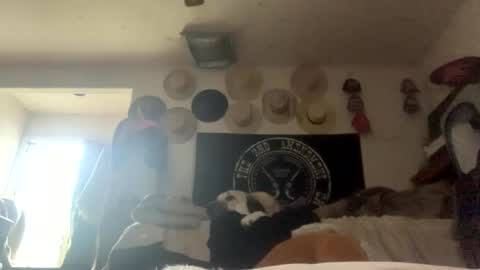 SummerPeach online show from 5, 2, 2025