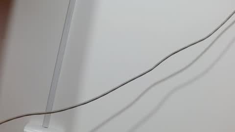 Snapshot of maddy_14 chatting on 21, 12, 2024 Maddy UwU online show from 21, 12, 2024