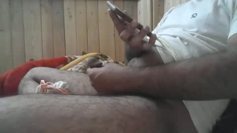 maddycooldil online show from 6, 12, 2024