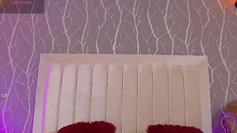    online show from 29, 11, 2025