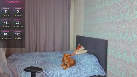 Merry online show from 9, 11, 2025