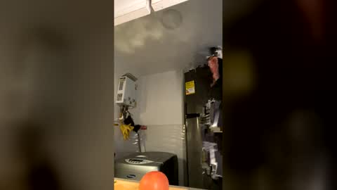 Snapshot of magic_tony chatting on 18, 12, 2025 Tony Hoffa online show from 18, 12, 2025