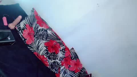 Mocah online show from 9, 12, 2024