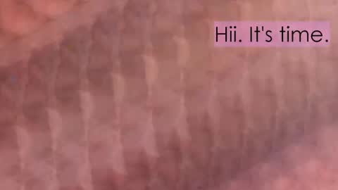 Snapshot of maitte_angel chatting on 2, 4, 2026 maitte_angel online show from 2, 4, 2026