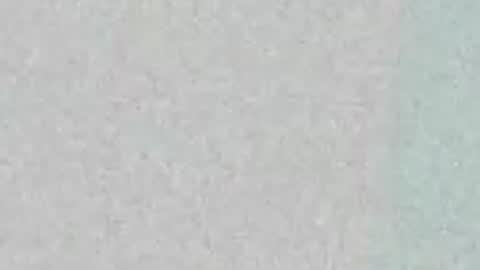 Snapshot of majestic_bella chatting on 10, 5, 2026 Bella online show from 10, 5, 2026