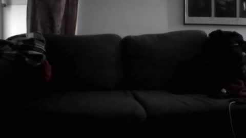 Snapshot of majorxoxo chatting on 2, 6, 2026 majorxoxo online show from 2, 6, 2026
