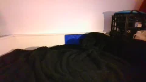 CommandbondageNipples bondage kink submissive lovense slave wgear. modequiethvyBondage If Password goldfish online show from 14, 12, 2024