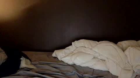 Snapshot of malefrench1 chatting on 25, 3, 2026 malefrench1 online show from 25, 3, 2026