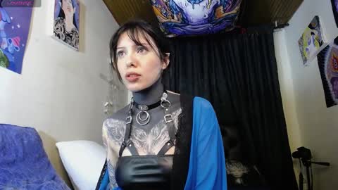 Alice Asylum online show from 19, 12, 2024