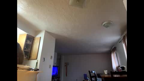 mamaboozey online show from 1, 3, 2026