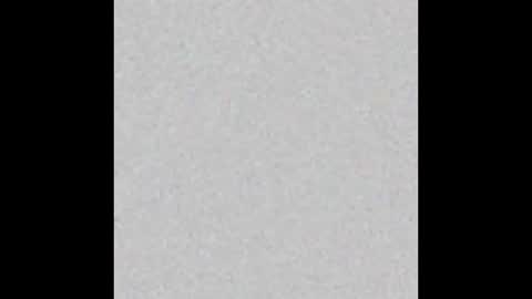 mantismillie online show from 12, 10, 2025