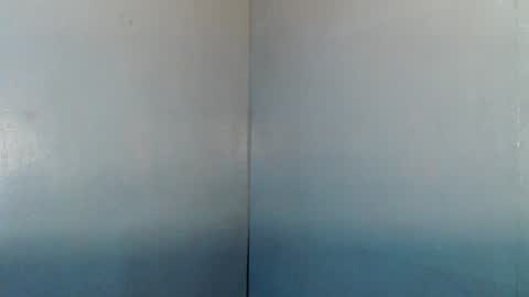 Snapshot of manualrein19 chatting on 4, 7, 2026 rein online show from 4, 7, 2026
