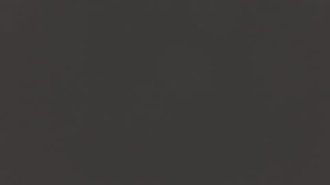 Manuel RL online show from 13, 2, 2025