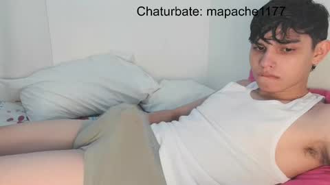 Snapshot of mapache1177 chatting on 10, 5, 2026 mapache1177 online show from 10, 5, 2026