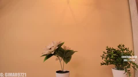 Marcela online show from 29, 9, 2025