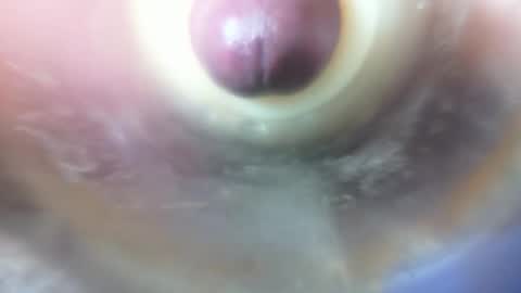 Marc online show from 6, 2, 2026