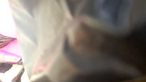 Snapshot of maria666cd chatting on 4, 10, 2025 Maria Magdalena online show from 4, 10, 2025